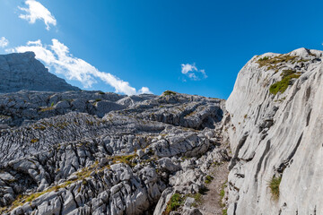 Narrow Alpine Path Through Limestone