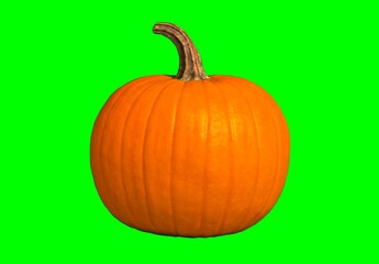 Obraz premium Bright Orange Pumpkin with Deep Ridges on Green Screen – Autumn Harvest and Halloween Decor