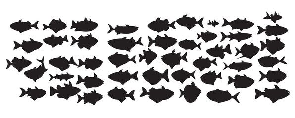 fishes silhouette white background vector illustration