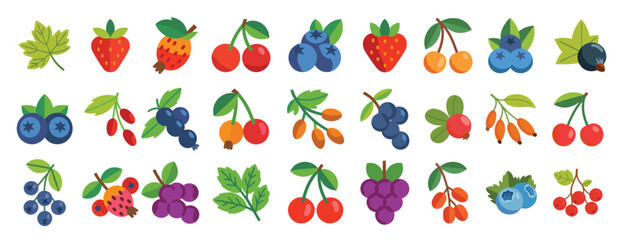 flat collection of various colorful berries and fruits vector illustration