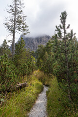 Wild alpine landscapes of the Wimbach Valley, Berchtesgaden Alps