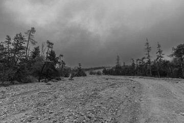 Wild alpine landscapes of the Wimbach Valley, Berchtesgaden Alps