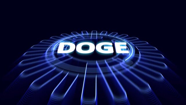 DOGE acronym. The Department of Government Efficiency is a task force entity requested by U.S. president. 