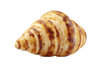 Obraz premium Golden Brown Croissant Isolated on Transparent Background Baked Confectionary Pastry Delicious Breakfast Treat with Flaky Texture and Spiral Pattern Warm Lighting Food Photography Studio Shot