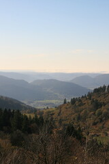 Vosges 