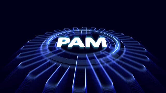 PAM acronym, privileged access management sytem concept, software is a cybersecurity solution designed to secure and manage privileged accounts within an