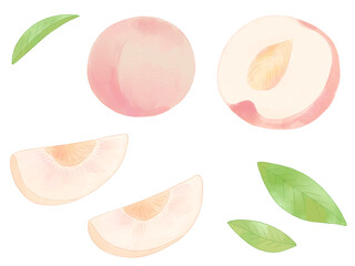 水彩の桃ラスターイラスト