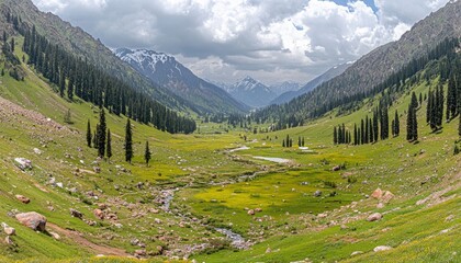 Mountain valley panorama, lush green meadows, snow-capped peaks, and a flowing stream