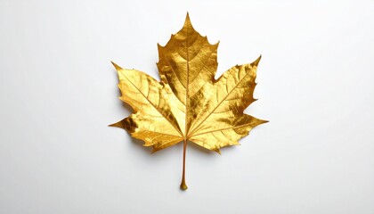 Single gold maple leaf on white background—reflective surface and intricate veins evoke elegance, transformation, and nature’s luxury in minimalist organic-metallic fusion composition.