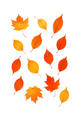 Autumn Leaves Fall High quality Realistic image.