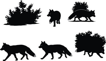 Fox, silhouette, bush, walking, nature, animal, forest, vector, illustration, motion, pose, shadow, tail, ears, terrain, wildlife, tracking, environment, foliage, interaction
