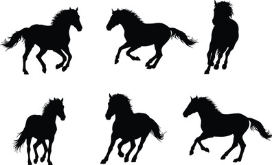 Horse, silhouette, running, trotting, motion, animal, nature, vector, illustration, posture, mane, tail, shadow, anatomy, wildlife, dynamic, black, powerful, mammal, speed