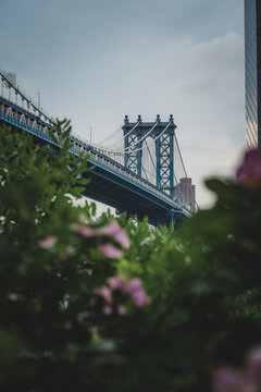 View of the majestic blue bridge towers over lush greenery, a tranquil yet urban scene under a cloudy sky, New York, New York, United States.