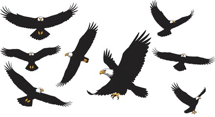 Eagle Flight Symphony