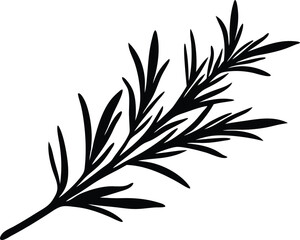 rosemary branch silhouette, aromatic sprig
