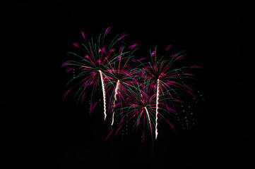 Fireworks in the night sky