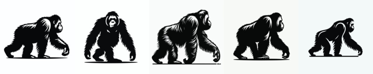 vector black and white silhouette of an orangutan © Vector