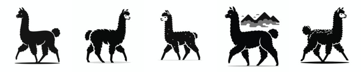vector black and white silhouette of a llama © Vector