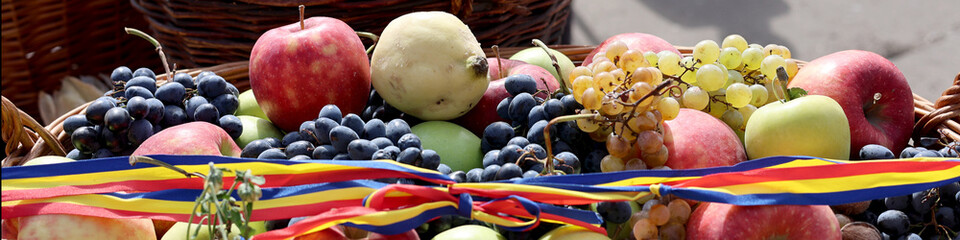 Fresh organic vegetables on farmer market. Local farm bazaar.