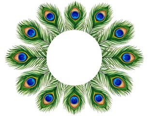 Obraz premium Peacock feather frame