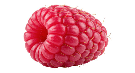 Fresh red raspberry isolated on transparent background, close-up view of ripe fruit, healthy eating and summer harvest concept