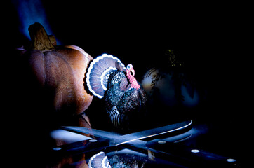 Thanksgiving the in the dark with lonexposure