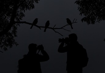 Night Watchers & Silent Wings