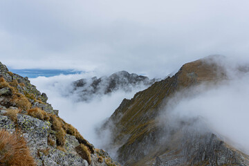 big sharp ridges of rocky mountains in between fog and white autumn cold day clouds in fagaras...