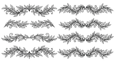 Fototapeta premium Decorative Laurel Leaf and Berry Borders and Dividers in Black and White flourish ornate
