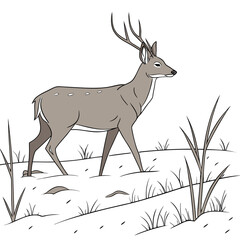 A majestic stag with large antlers stands alert in a snowy landscape with sparse grass and small rocks