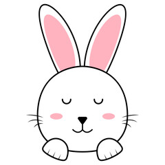 Cute Bunny Face