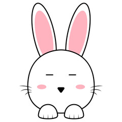 Cute Bunny Face