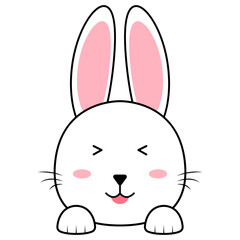 Cute Bunny Face
