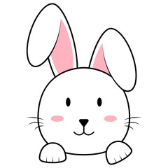 Cute Bunny Face