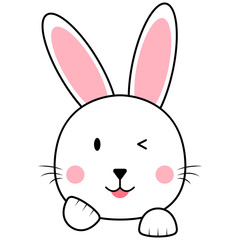 Cute Bunny Face