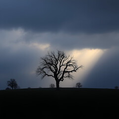 Ombra traditrice