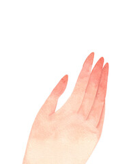 Watercolor woman's hand. Hand-painted illustration isolated on a transparent background