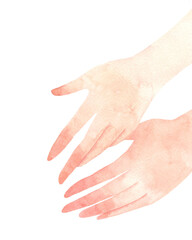 Watercolor woman's hands. Hand-painted illustration isolated on a transparent background