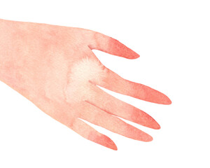 Watercolor woman's hand. Hand-painted illustration isolated on a transparent background