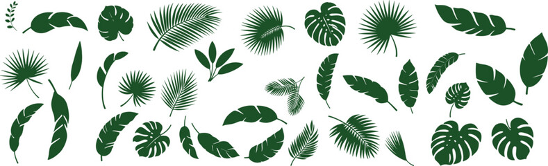Set tropical leaves  vector