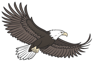 american bald eagle