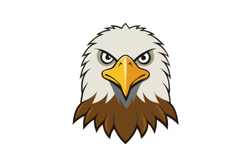 american bald eagle