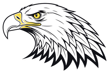american bald eagle