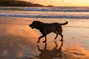 sunset at Trearddur Bay Anglesey north Wales 