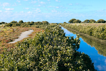 coastal wetlands with walking trail and storm water canal to sea