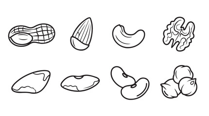 Assorted hand drawn nuts and seeds collection for healthy eating and gourmet food designs vector