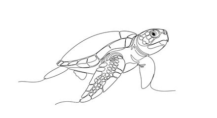 A detailed line drawing of a sea turtle swimming, showcasing its shell and flippers.