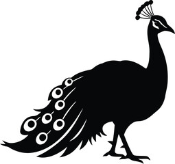 Fototapeta premium Elegant black silhouette of a majestic peacock with feathered tail displayed silhouette
