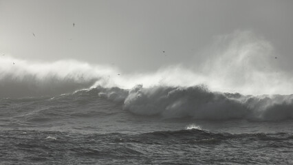 View of powerful waves crash against the shore under an overcast sky, the wind whipping spray into the air in Iceland, Iceland.