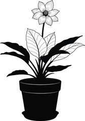 Single blooming flower in black pot with detailed leaves hand drawn sketch style silhouette